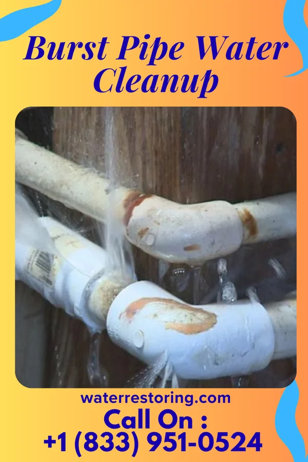 Burst Pipe Water Cleanup in Gary, WV