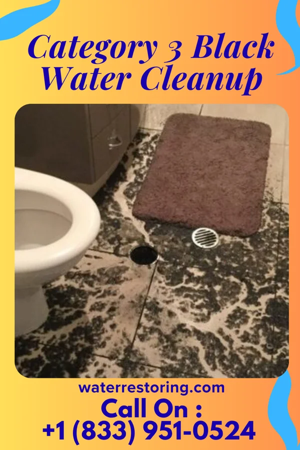 Category 3 Black Water Cleanup in Gary, WV