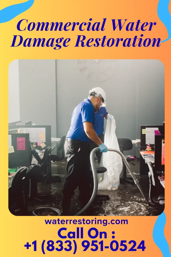 Commercial Water Damage Restoration in Gary, WV