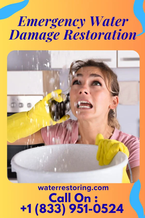 Emergency Water Damage Restoration in Gary, WV