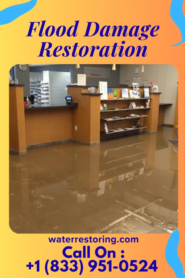 Flood Damage Restoration in Gary, WV