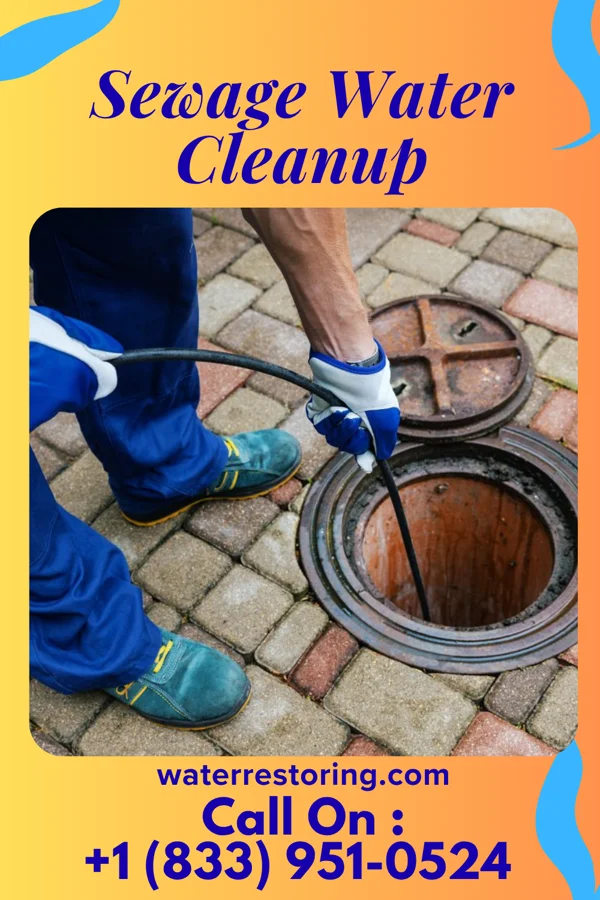 Sewage Water Cleanup in Gary, WV