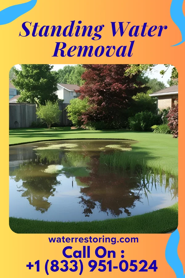 Standing Water Removal in Gary, WV